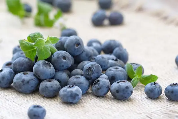 How to Make Blueberry Extract?